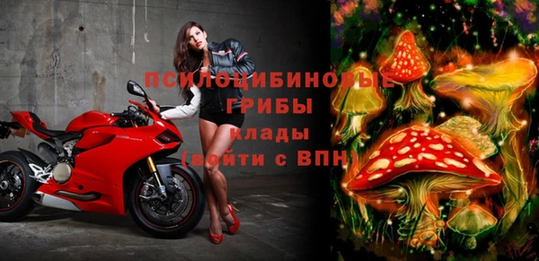 jwh Бородино
